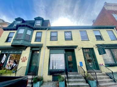 Main picture of 33 York St