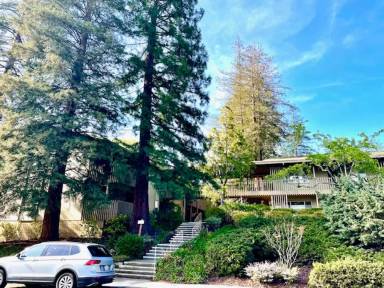 Main picture of 665 Monte Rosa Dr