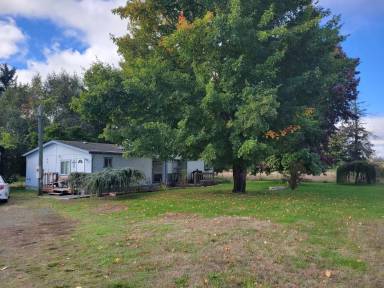 Main picture of 10420 224th St E