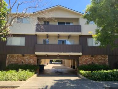 Main picture of 1508 San Antonio Ave