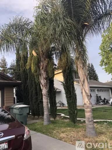 Main picture of 4637 Castle Cary Ln