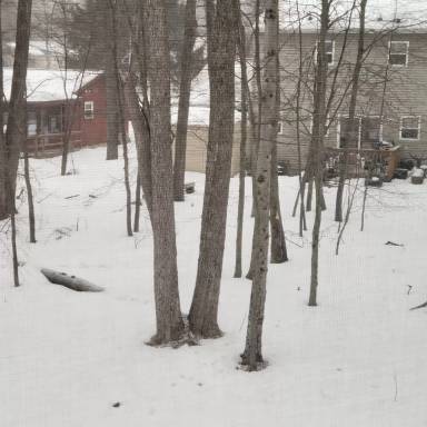 Main picture of 5282 Sunshine Ln