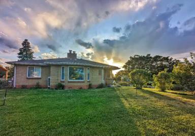 Main picture of 3495 Ames St