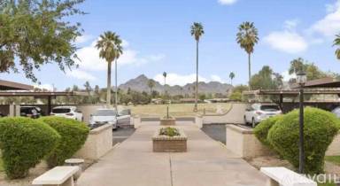 Main picture of Olive Grove Village