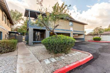 Main picture of Chandler Meadows