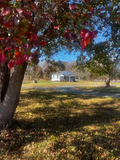 Main picture of 268 E Green Springs Rd