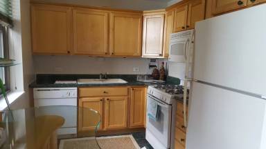 Main picture of 253 E Delaware Condos