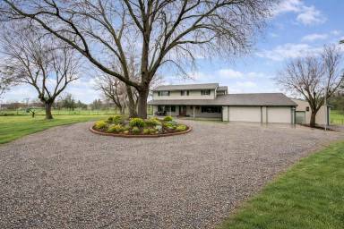 Main picture of 12707 Leo Ln
