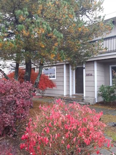 Main picture of 1814 Nipsic Ave
