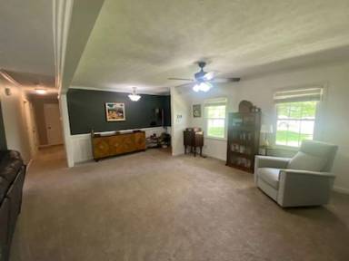 Main picture of 230 Wintergreen Dr