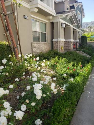 Main picture of 861 E Mountain Way