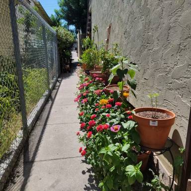 Main picture of 4382 Utah St