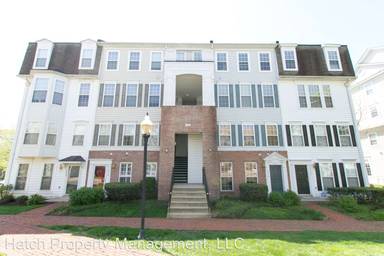 Main picture of 5084 English Ter