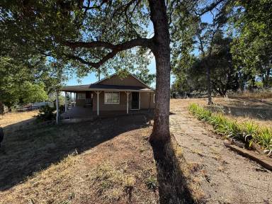 Main picture of 3929 Pardes Way