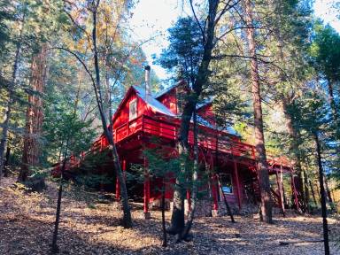 Main picture of 672 Dogwood Cyn Rd