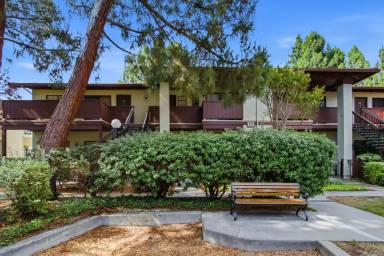 Main picture of 479 Costa Mesa Ter