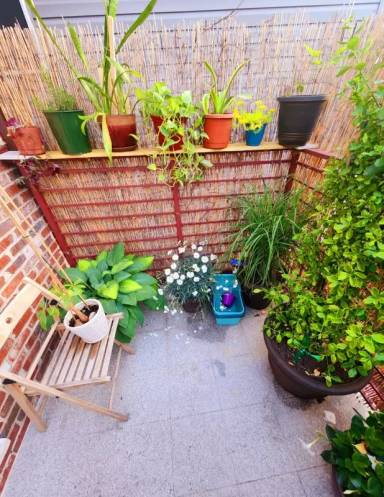 Main picture of 1659 Hancock St