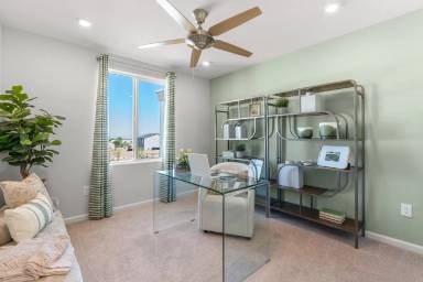 Main picture of 1990 Hydrangea Pl