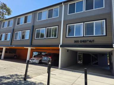 Main picture of 305 Chestnut St