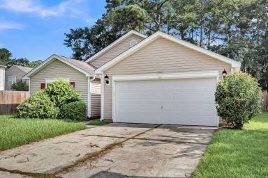 Main picture of 101 Sparkleberry Ln