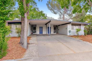 Main picture of 1804 Apple Ln