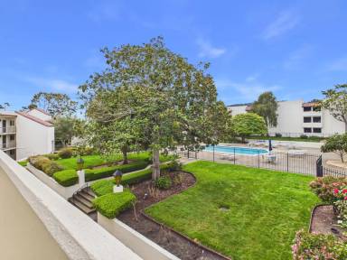 Main picture of Ocean Forest Condominiums