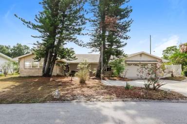 Main picture of 144 Shelley Dr