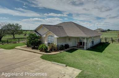 Main picture of Flying Ace Ranch