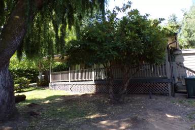 Main picture of 1420 Dollar St