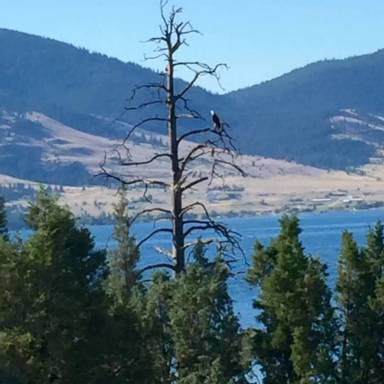 Main picture of 27096 Old US Highway 93