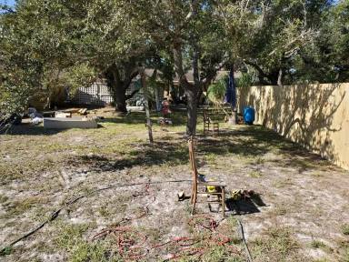 Main picture of 2401 Mesquite