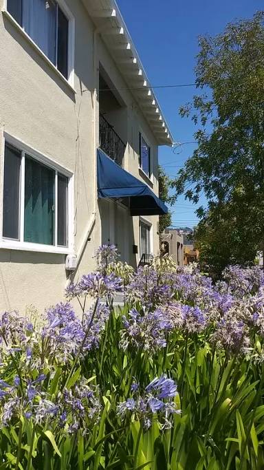 Main picture of 1525 Francisco St