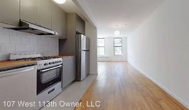 Main picture of 107 W 113th St