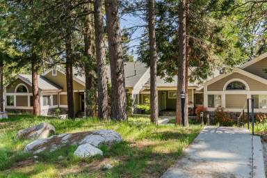 Main picture of 27112 Sugar Pine - 27112 Sugar Pine