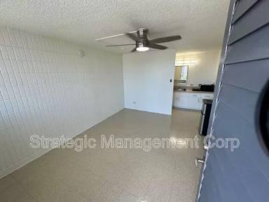 Main picture of Alapai Lofts