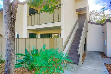 Main picture of 10313 Caminito Aralia