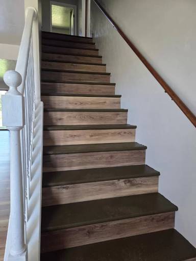 Main picture of 813 Phasianus St