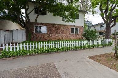 Main picture of 972 College Dr
