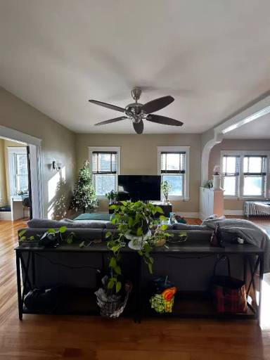 Main picture of 39 Woodford St