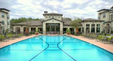 Main picture of Palazzo At Cypresswood