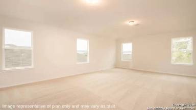 Main picture of 13328 Sugarberry Elm
