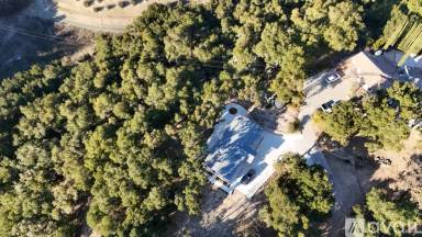 Main picture of 2548 Vineyard Dr