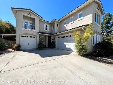 Main picture of 11433 Bracken Fern Cv