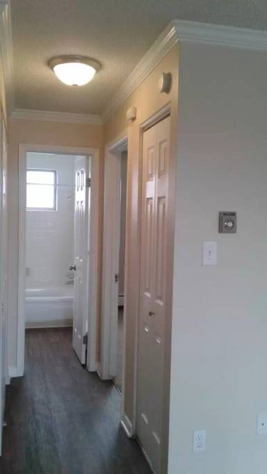 Main picture of Wedgwood Apartments