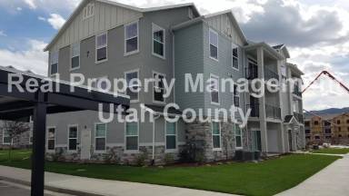 Main picture of The Village on 12th
