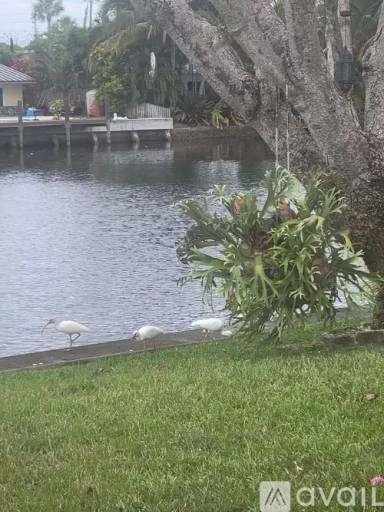 Main picture of 809 NW 30th St