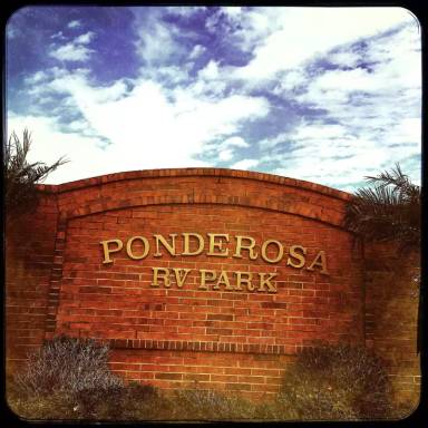 Main picture of Ponderosa RV Park