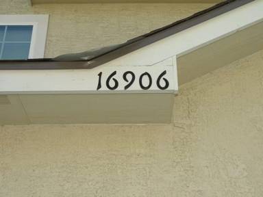 Main picture of 16906 Dancing Ava