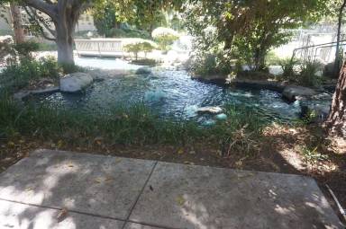 Main picture of Orange Lakes