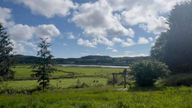 Main picture of 35144 Reith Larson Ln